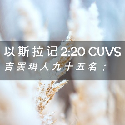 Picture 02 - 以 斯 拉 记 2:20 CUVS - 吉 罢 珥 人 九 十 五 名 - Bible Verse Picture