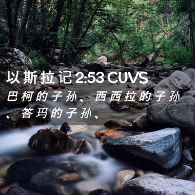 Picture 02 - 以 斯 拉 记 2:53 CUVS - 巴 柯 的 子 孙 、 西 西 拉 的 子 孙 - Bible Verse Picture