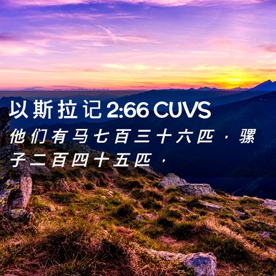 Picture 02 - 以 斯 拉 记 2:66 CUVS - 他 们 有 马 七 百 三 十 六 匹 ， 骡 - Bible Verse Picture