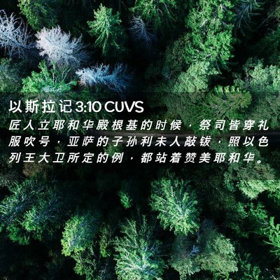 Picture 02 - 以 斯 拉 记 3:10 CUVS - 匠 人 立 耶 和 华 殿 根 基 的 时 候 - Bible Verse Picture