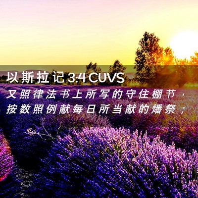 Picture 02 - 以 斯 拉 记 3:4 CUVS - 又 照 律 法 书 上 所 写 的 守 住 棚 - Bible Verse Picture