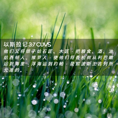 Picture 02 - 以 斯 拉 记 3:7 CUVS - 他 们 又 将 银 子 给 石 匠 、 木 匠 - Bible Verse Picture