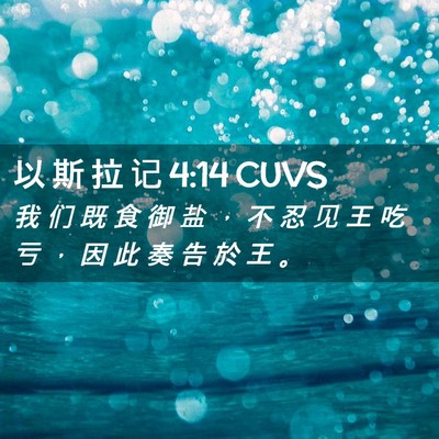 Picture 02 - 以 斯 拉 记 4:14 CUVS - 我 们 既 食 御 盐 ， 不 忍 见 王 吃 - Bible Verse Picture