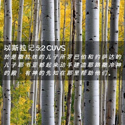 Picture 02 - 以 斯 拉 记 5:2 CUVS - 於 是 撒 拉 铁 的 儿 子 所 罗 巴 伯 - Bible Verse Picture