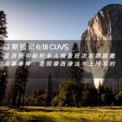 Picture 02 - 以 斯 拉 记 6:18 CUVS - 且 派 祭 司 和 利 未 人 按 着 班 次 - Bible Verse Picture