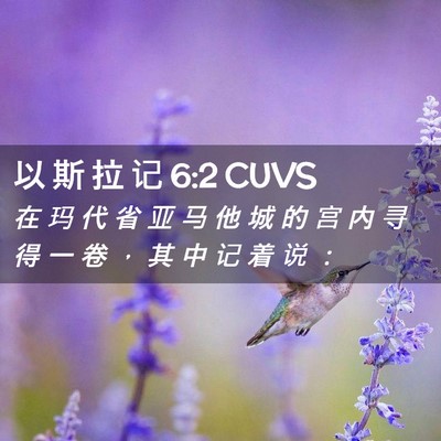 Picture 02 - 以 斯 拉 记 6:2 CUVS - 在 玛 代 省 亚 马 他 城 的 宫 内 寻 - Bible Verse Picture