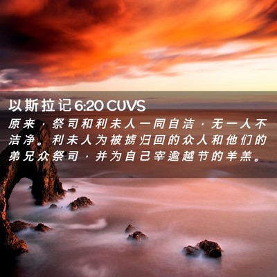 Picture 02 - 以 斯 拉 记 6:20 CUVS - 原 来 ， 祭 司 和 利 未 人 一 同 自 - Bible Verse Picture