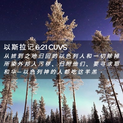 Picture 02 - 以 斯 拉 记 6:21 CUVS - 从 掳 到 之 地 归 回 的 以 色 列 人 - Bible Verse Picture