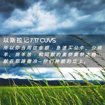Picture 02 - 以 斯 拉 记 7:17 CUVS - 所 以 你 当 用 这 金 银 ， 急 速 买 - Bible Verse Picture