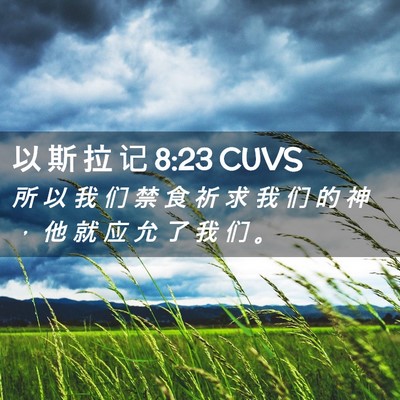 Picture 02 - 以 斯 拉 记 8:23 CUVS - 所 以 我 们 禁 食 祈 求 我 们 的 神 - Bible Verse Picture