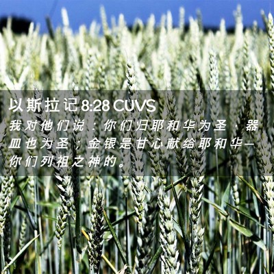 Picture 02 - 以 斯 拉 记 8:28 CUVS - 我 对 他 们 说 ： 你 们 归 耶 和 华 - Bible Verse Picture