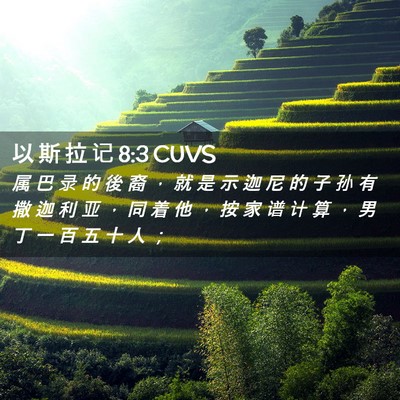 Picture 02 - 以 斯 拉 记 8:3 CUVS - 属 巴 录 的 後 裔 ， 就 是 示 迦 尼 - Bible Verse Picture