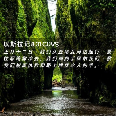 Picture 02 - 以 斯 拉 记 8:31 CUVS - 正 月 十 二 日 ， 我 们 从 亚 哈 瓦 - Bible Verse Picture