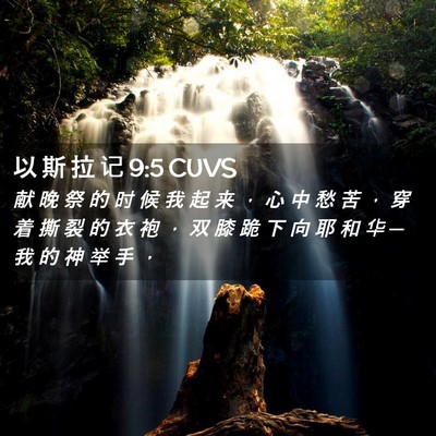 Picture 02 - 以 斯 拉 记 9:5 CUVS - 献 晚 祭 的 时 候 我 起 来 ， 心 中 - Bible Verse Picture