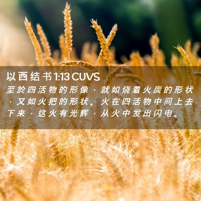 Picture 02 - 以 西 结 书 1:13 CUVS - 至 於 四 活 物 的 形 像 ， 就 如 烧 - Bible Verse Picture