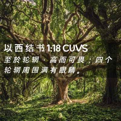 Picture 02 - 以 西 结 书 1:18 CUVS - 至 於 轮 辋 ， 高 而 可 畏 ； 四 个 - Bible Verse Picture