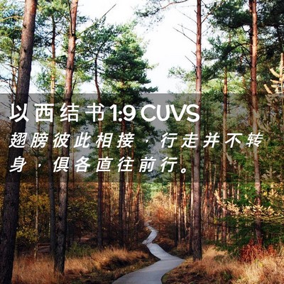 Picture 02 - 以 西 结 书 1:9 CUVS - 翅 膀 彼 此 相 接 ， 行 走 并 不 转 - Bible Verse Picture