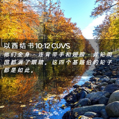 Picture 02 - 以 西 结 书 10:12 CUVS - 他 们 全 身 ， 连 背 带 手 和 翅 膀 - Bible Verse Picture