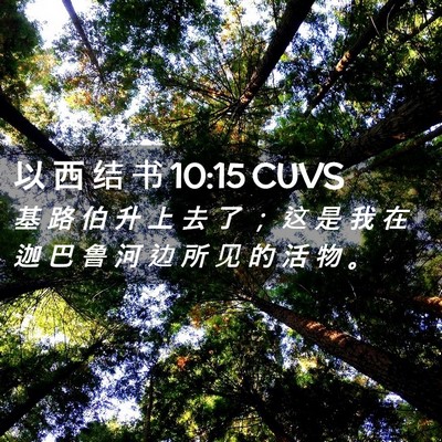 Picture 02 - 以 西 结 书 10:15 CUVS - 基 路 伯 升 上 去 了 ； 这 是 我 在 - Bible Verse Picture