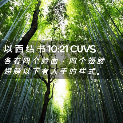 Picture 02 - 以 西 结 书 10:21 CUVS - 各 有 四 个 脸 面 ， 四 个 翅 膀 ， - Bible Verse Picture