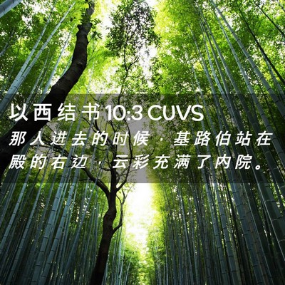 Picture 02 - 以 西 结 书 10:3 CUVS - 那 人 进 去 的 时 候 ， 基 路 伯 站 - Bible Verse Picture