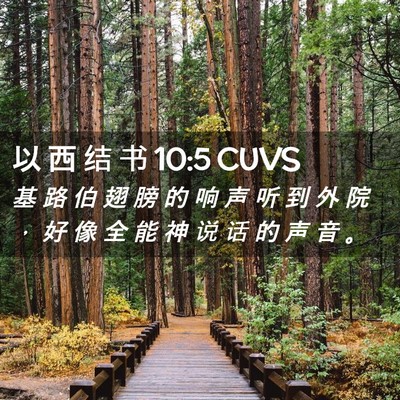 Picture 02 - 以 西 结 书 10:5 CUVS - 基 路 伯 翅 膀 的 响 声 听 到 外 院 - Bible Verse Picture
