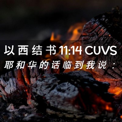 Picture 02 - 以 西 结 书 11:14 CUVS - 耶 和 华 的 话 临 到 我 说 - Bible Verse Picture