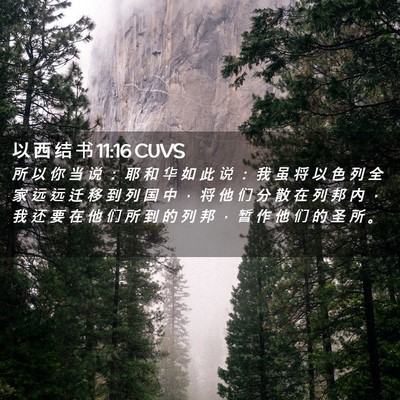 Picture 02 - 以 西 结 书 11:16 CUVS - 所 以 你 当 说 ： 耶 和 华 如 此 说 - Bible Verse Picture
