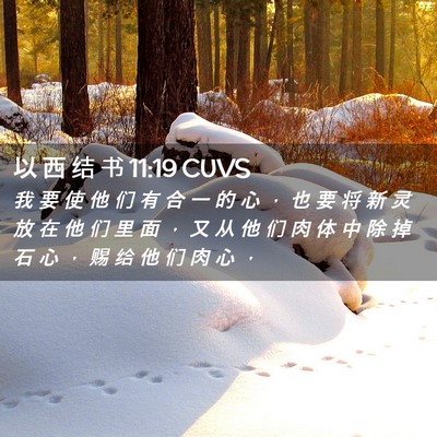 Picture 02 - 以 西 结 书 11:19 CUVS - 我 要 使 他 们 有 合 一 的 心 ， 也 - Bible Verse Picture