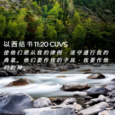Picture 02 - 以 西 结 书 11:20 CUVS - 使 他 们 顺 从 我 的 律 例 ， 谨 守 - Bible Verse Picture