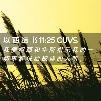 Picture 02 - 以 西 结 书 11:25 CUVS - 我 便 将 耶 和 华 所 指 示 我 的 一 - Bible Verse Picture
