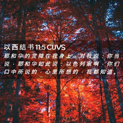 Picture 02 - 以 西 结 书 11:5 CUVS - 耶 和 华 的 灵 降 在 我 身 上 ， 对 - Bible Verse Picture