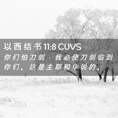 Picture 02 - 以 西 结 书 11:8 CUVS - 你 们 怕 刀 剑 ， 我 必 使 刀 剑 临 - Bible Verse Picture