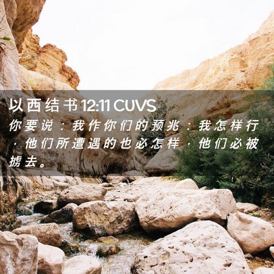 Picture 02 - 以 西 结 书 12:11 CUVS - 你 要 说 ： 我 作 你 们 的 预 兆 ： - Bible Verse Picture