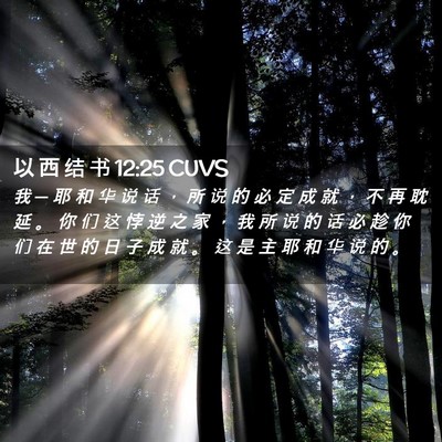 Picture 02 - 以 西 结 书 12:25 CUVS - 我 ─ 耶 和 华 说 话 ， 所 说 的 必 - Bible Verse Picture