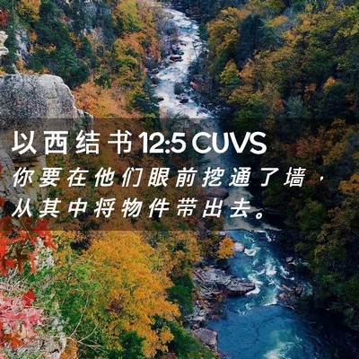 Picture 02 - 以 西 结 书 12:5 CUVS - 你 要 在 他 们 眼 前 挖 通 了 墙 ， - Bible Verse Picture