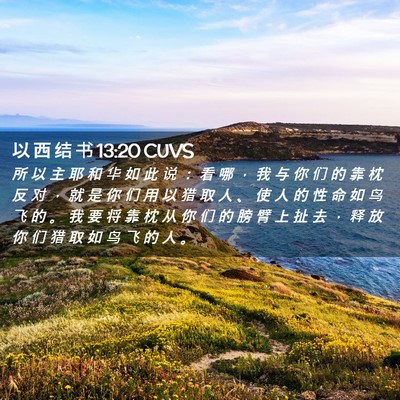 Picture 02 - 以 西 结 书 13:20 CUVS - 所 以 主 耶 和 华 如 此 说 ： 看 哪 - Bible Verse Picture