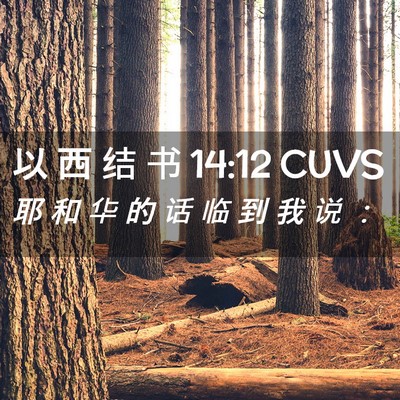 Picture 02 - 以 西 结 书 14:12 CUVS - 耶 和 华 的 话 临 到 我 说 - Bible Verse Picture