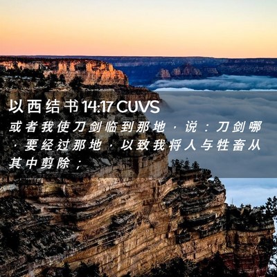 Picture 02 - 以 西 结 书 14:17 CUVS - 或 者 我 使 刀 剑 临 到 那 地 ， 说 - Bible Verse Picture
