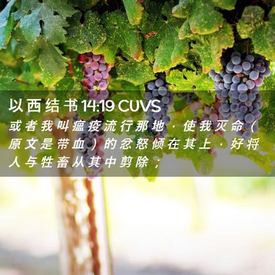 Picture 02 - 以 西 结 书 14:19 CUVS - 或 者 我 叫 瘟 疫 流 行 那 地 ， 使 - Bible Verse Picture
