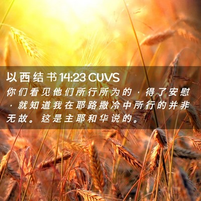 Picture 02 - 以 西 结 书 14:23 CUVS - 你 们 看 见 他 们 所 行 所 为 的 ， - Bible Verse Picture