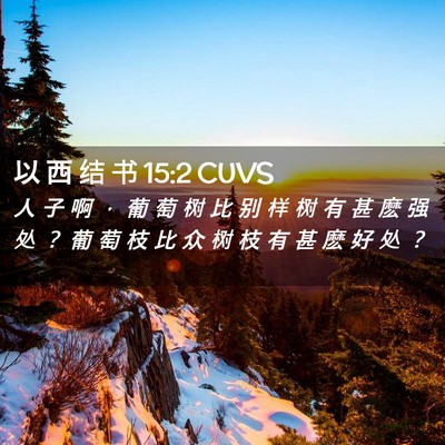 Picture 02 - 以 西 结 书 15:2 CUVS - 人 子 啊 ， 葡 萄 树 比 别 样 树 有 - Bible Verse Picture