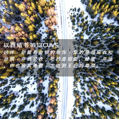 Picture 02 - 以 西 结 书 16:13 CUVS - 这 样 ， 你 就 有 金 银 的 妆 饰 ， - Bible Verse Picture