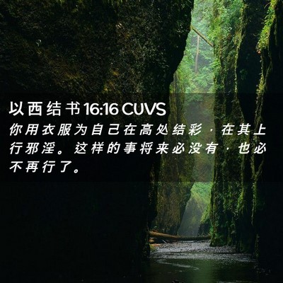 Picture 02 - 以 西 结 书 16:16 CUVS - 你 用 衣 服 为 自 己 在 高 处 结 彩 - Bible Verse Picture