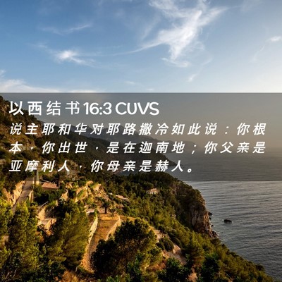 Picture 02 - 以 西 结 书 16:3 CUVS - 说 主 耶 和 华 对 耶 路 撒 冷 如 此 - Bible Verse Picture
