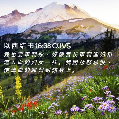 Picture 02 - 以 西 结 书 16:38 CUVS - 我 也 要 审 判 你 ， 好 像 官 长 审 - Bible Verse Picture