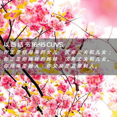 Picture 02 - 以 西 结 书 16:45 CUVS - 你 正 是 你 母 亲 的 女 儿 ， 厌 弃 - Bible Verse Picture