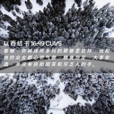 Picture 02 - 以 西 结 书 16:49 CUVS - 看 哪 ， 你 妹 妹 所 多 玛 的 罪 孽 - Bible Verse Picture