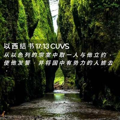Picture 02 - 以 西 结 书 17:13 CUVS - 从 以 色 列 的 宗 室 中 取 一 人 与 - Bible Verse Picture