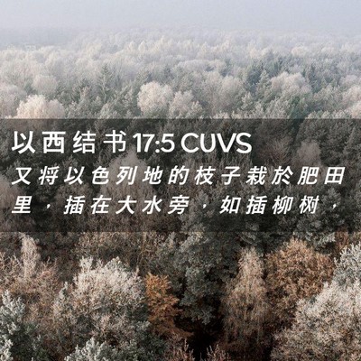 Picture 02 - 以 西 结 书 17:5 CUVS - 又 将 以 色 列 地 的 枝 子 栽 於 肥 - Bible Verse Picture